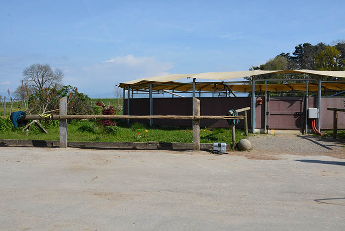 Pension pour chevaux Pays de Gex